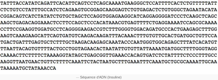 Séquence d'ADN - Insuline